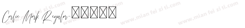 Carlie Mark Regular字体转换